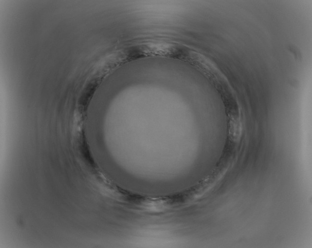 X0000113220701200909101150