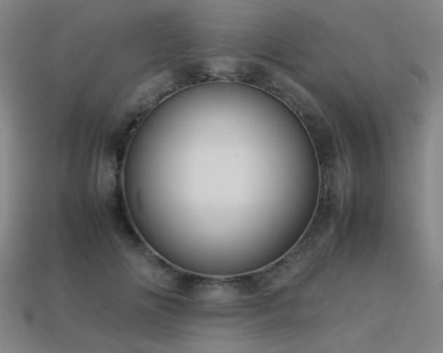 X0000113220702200909101150
