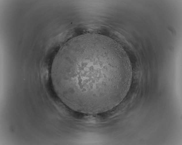 X0000113220703200909101150