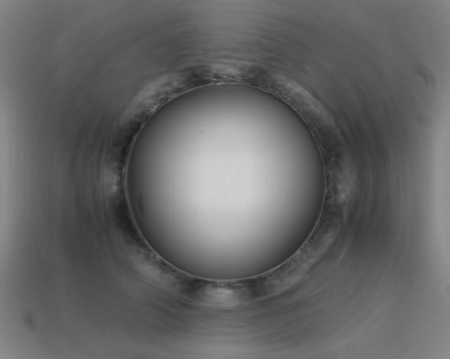 X0000113220706200909101150