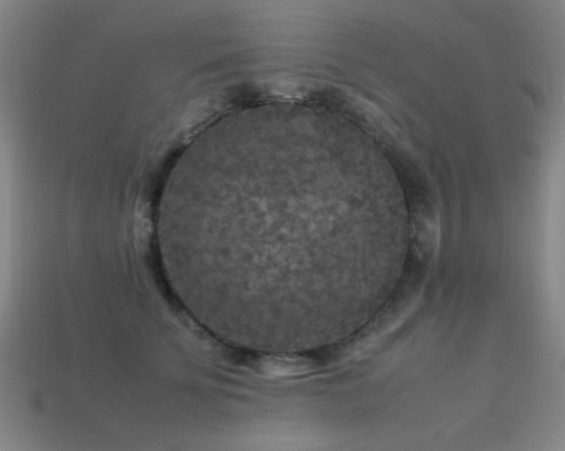 X0000113220707200909101150