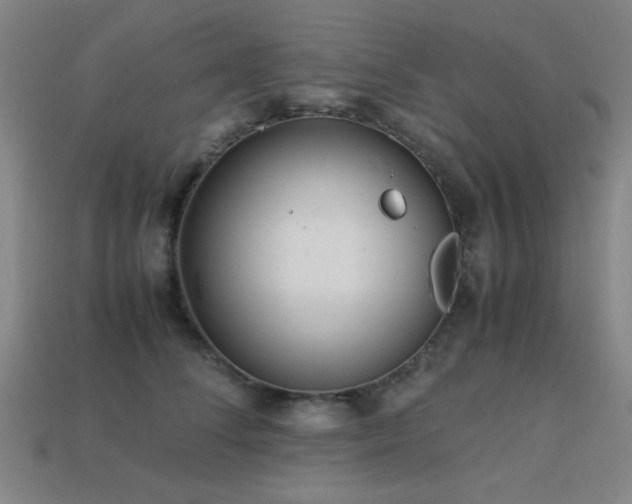 X0000113220708200909101150