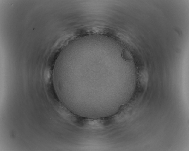 X0000113220709200909101150