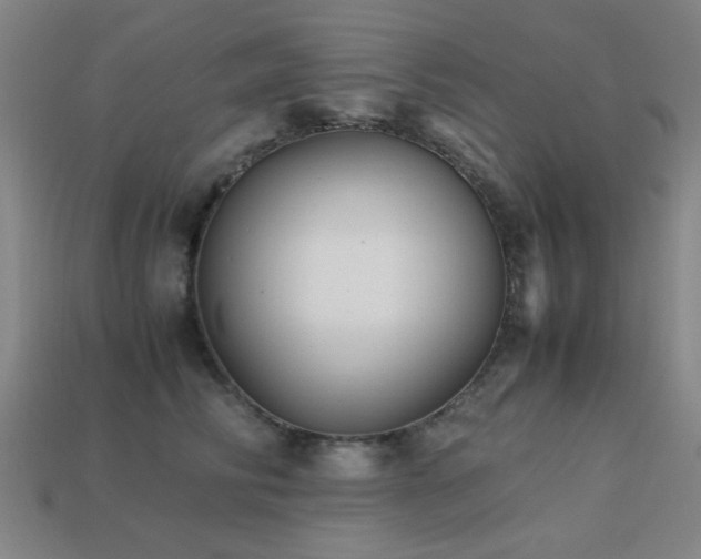 X0000113220710200909101150