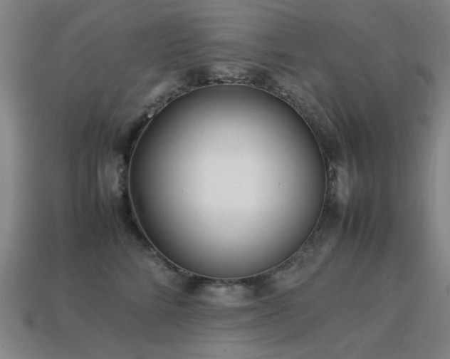 X0000113220712200909101150