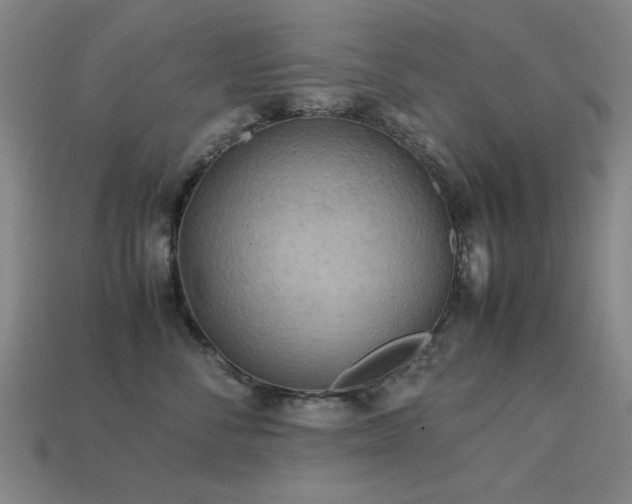X0000113220716200909101150