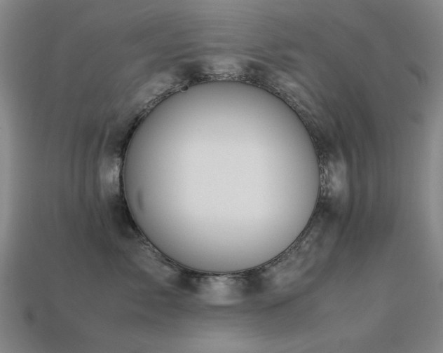 X0000113220717200909101150