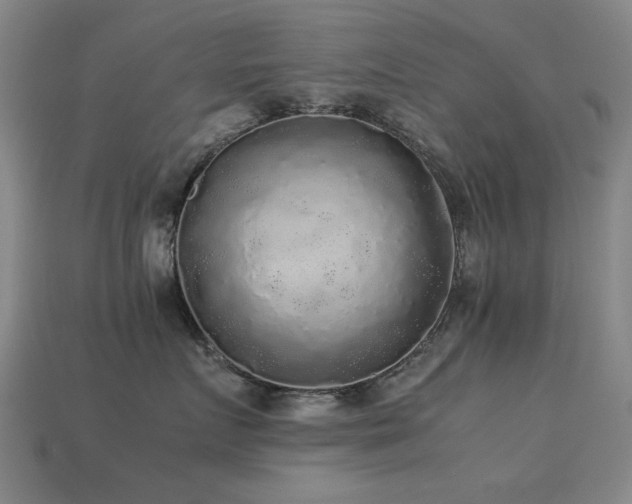 X0000113220719200909101150