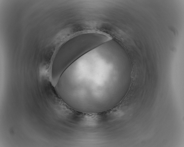 X0000113220720200909101150