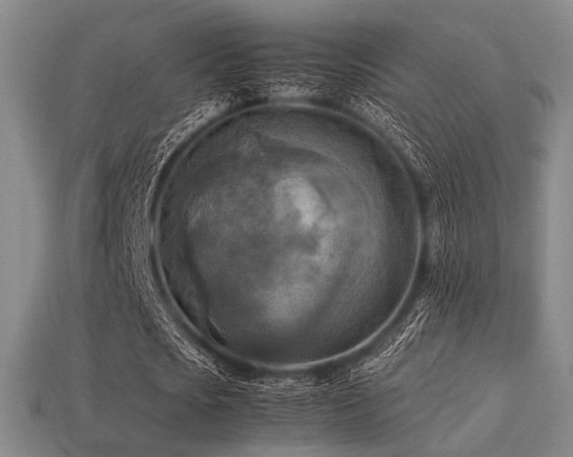 X0000113220721200909101149