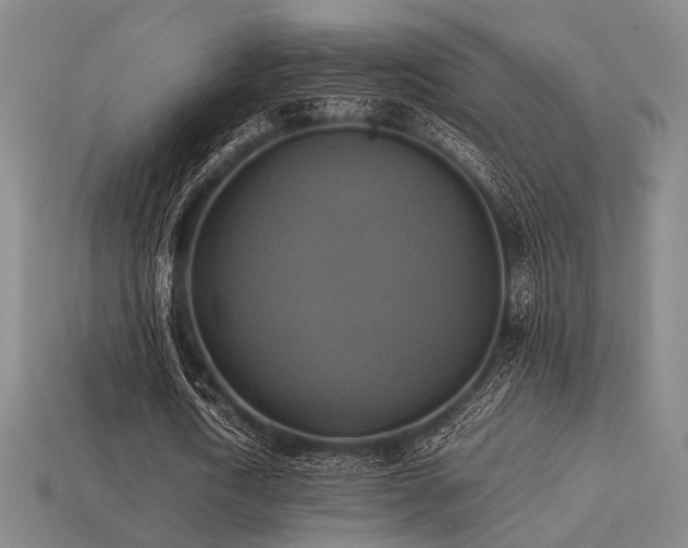 X0000113220722200909101149