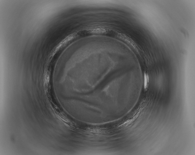 X0000113220723200909101149