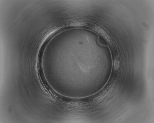 X0000113220724200909101149