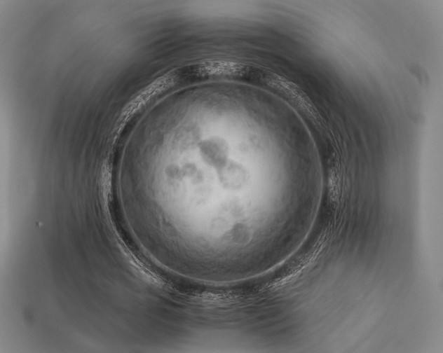 X0000113220725200909101149