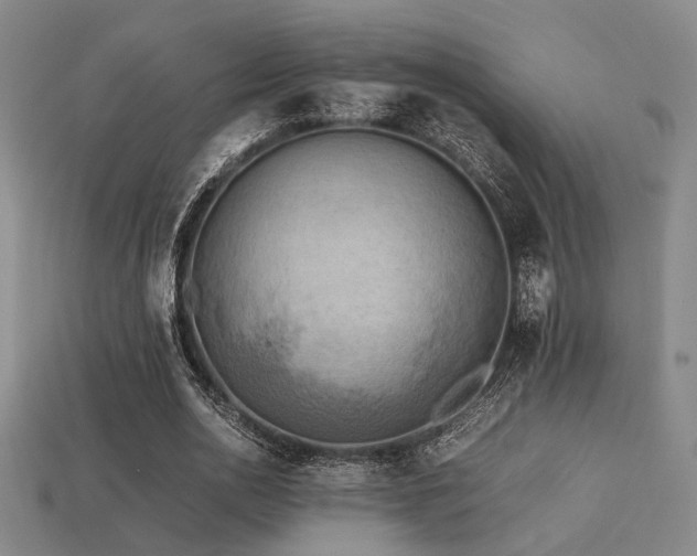 X0000113220726200909101149