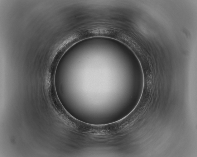 X0000113220727200909101149
