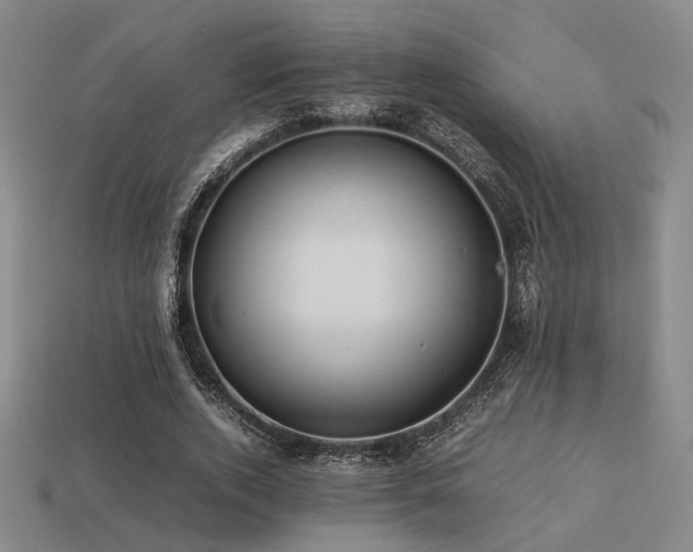 X0000113220728200909101149