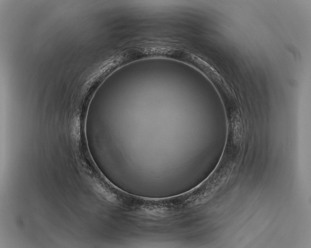 X0000113220729200909101149