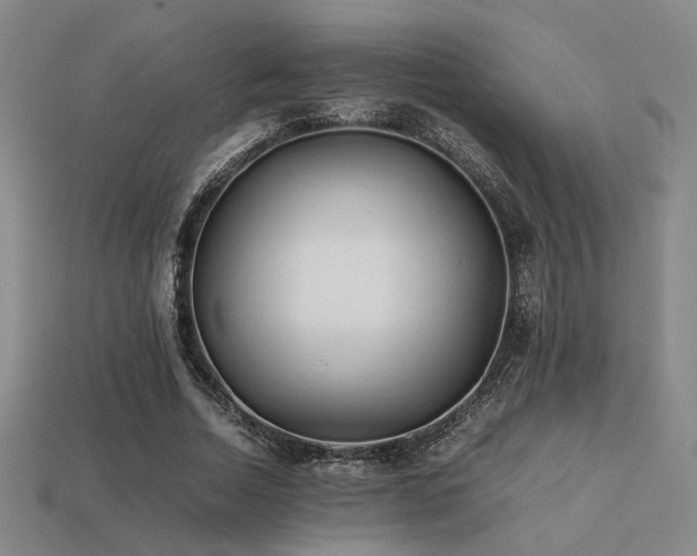 X0000113220730200909101149