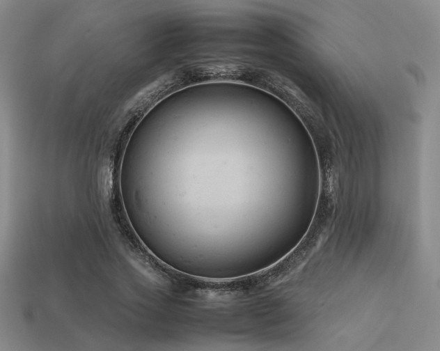 X0000113220733200909101149
