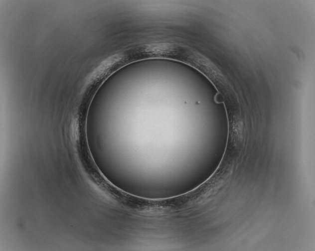 X0000113220734200909101149