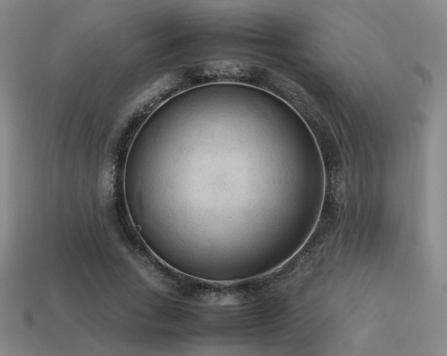 X0000113220735200909101149