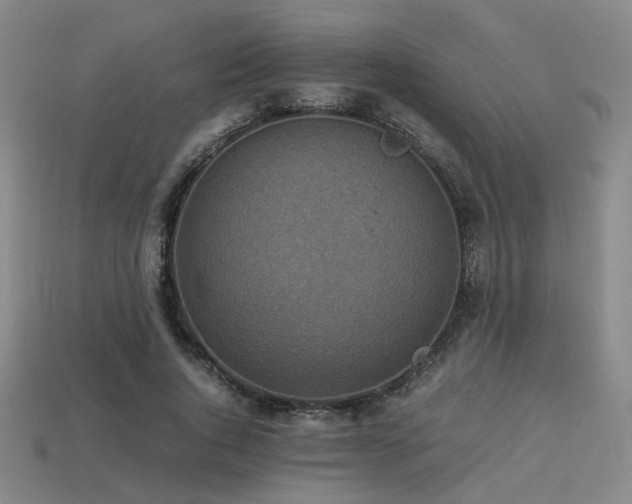 X0000113220736200909101149