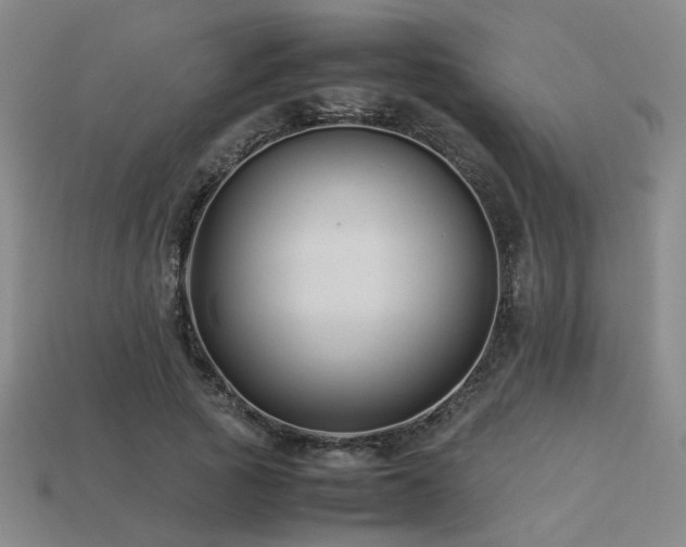 X0000113220737200909101149