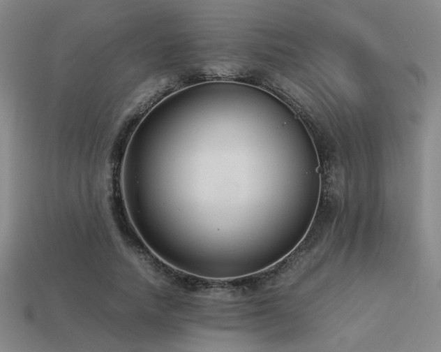 X0000113220738200909101149