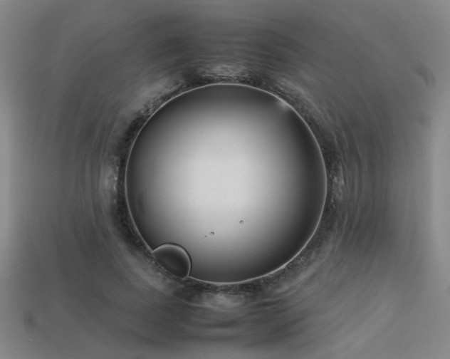 X0000113220739200909101149