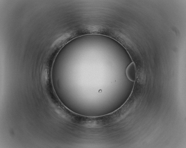 X0000113220740200909101150