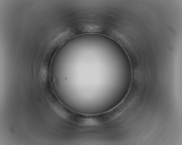 X0000113220741200909101150