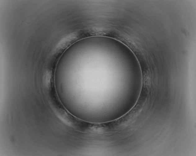 X0000113220742200909101150