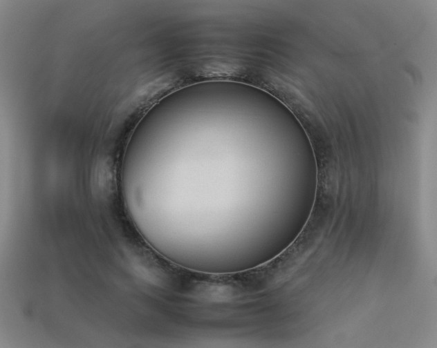 X0000113220743200909101150