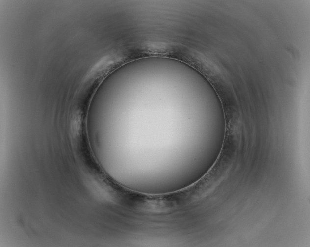 X0000113220744200909101150