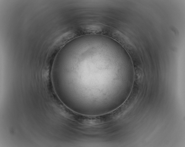 X0000113220745200909101150