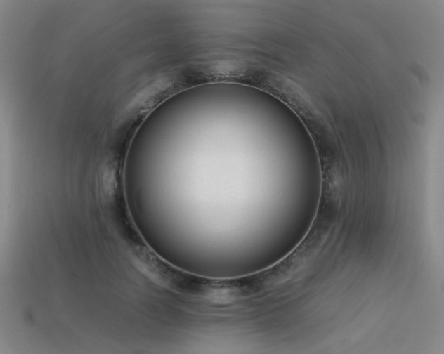 X0000113220746200909101150