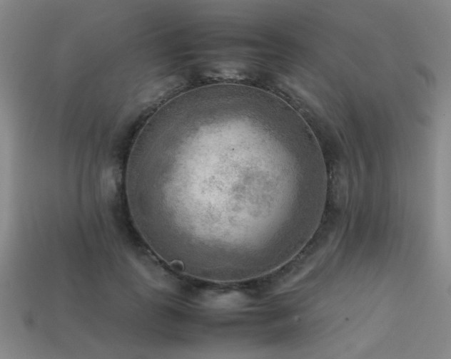 X0000113220747200909101150