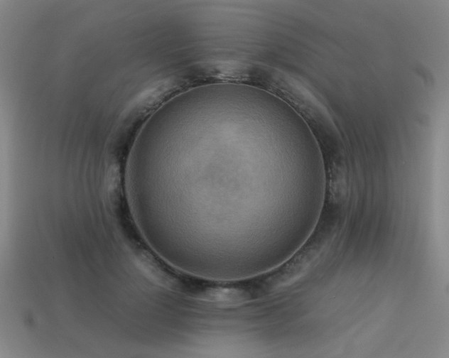 X0000113220748200909101150