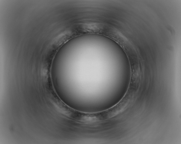 X0000113220749200909101150