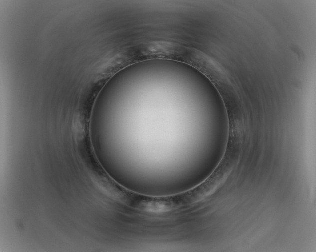 X0000113220751200909101150