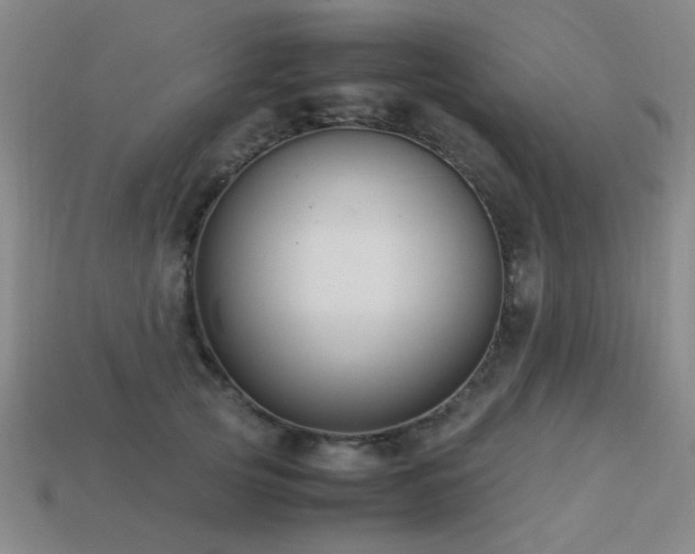 X0000113220753200909101150