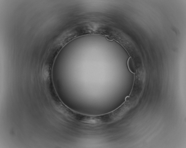 X0000113220754200909101150