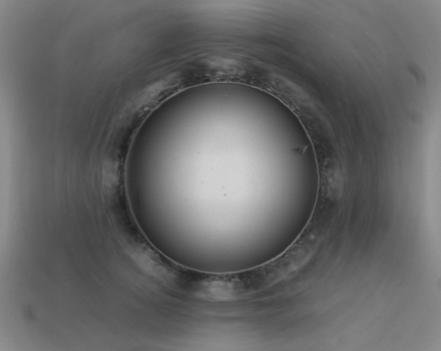 X0000113220756200909101150