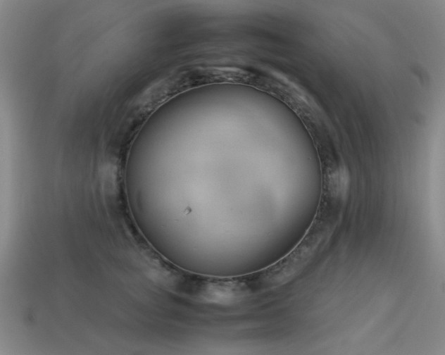 X0000113220757200909101150