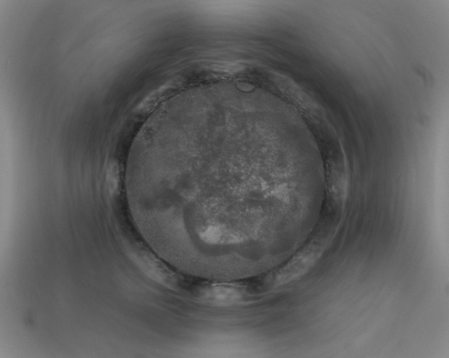 X0000113220758200909101150