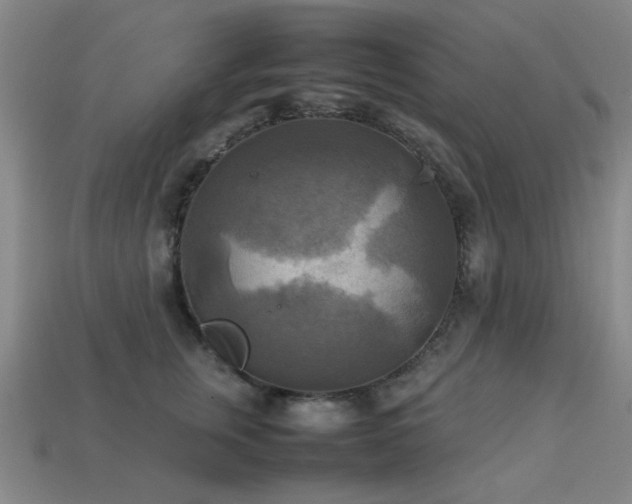 X0000113220759200909101150