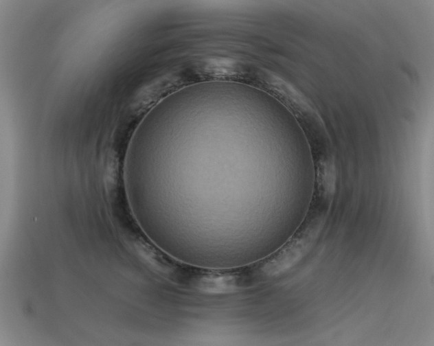 X0000113220760200909101150