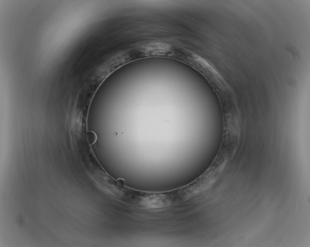 X0000113220761200909101150