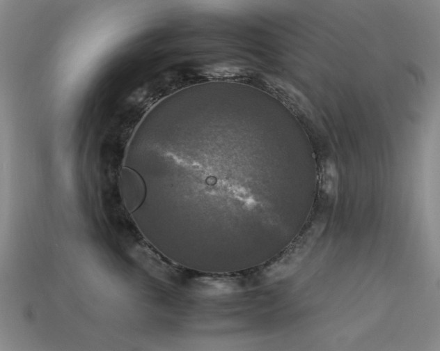 X0000113220763200909101150